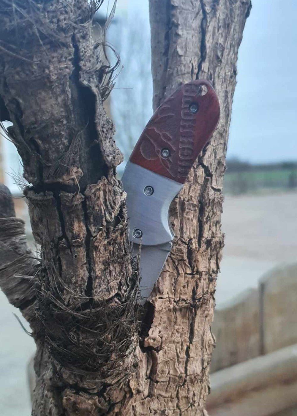 Folding Camping Knife