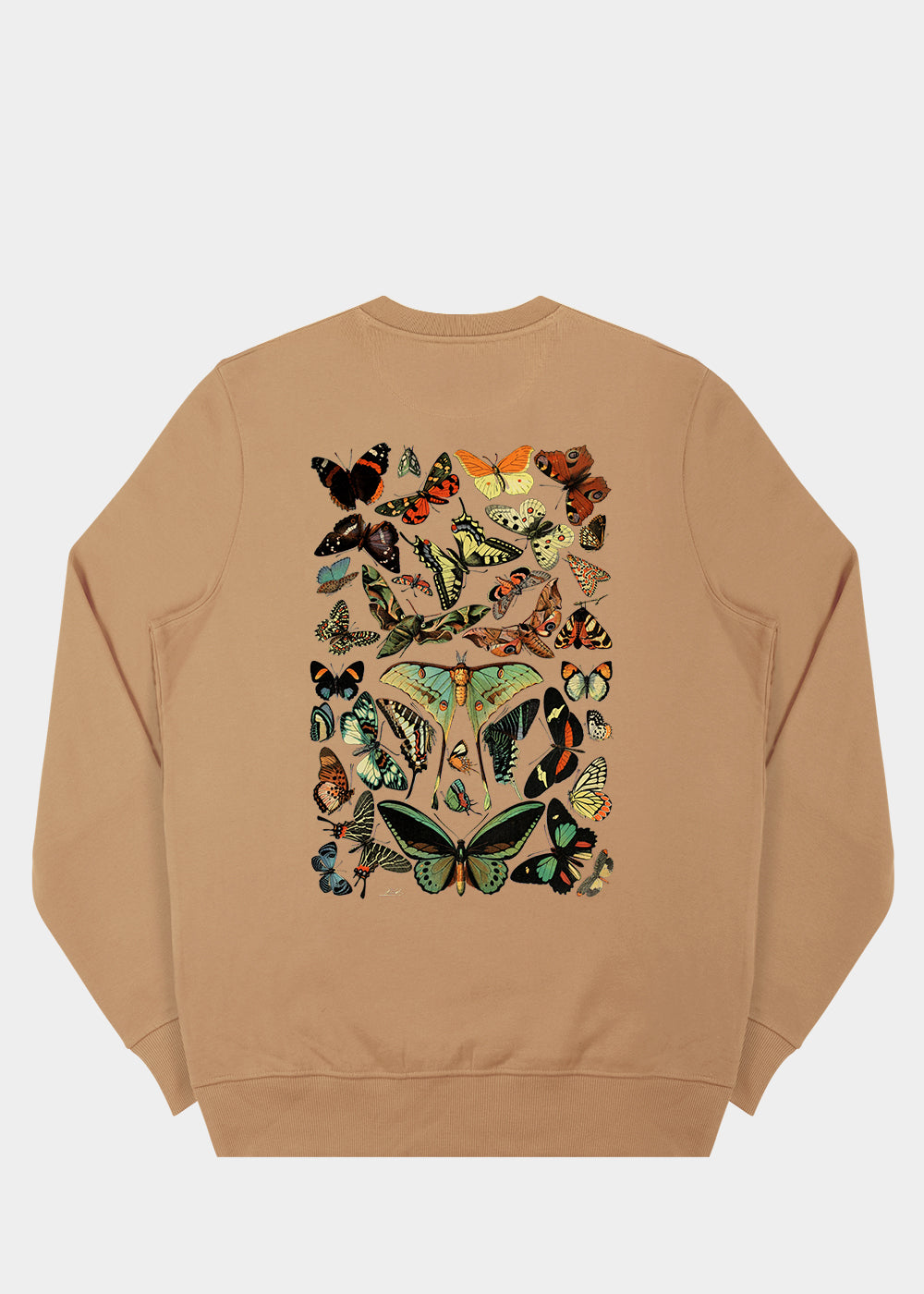 Papillons Sweatshirt / Back Print