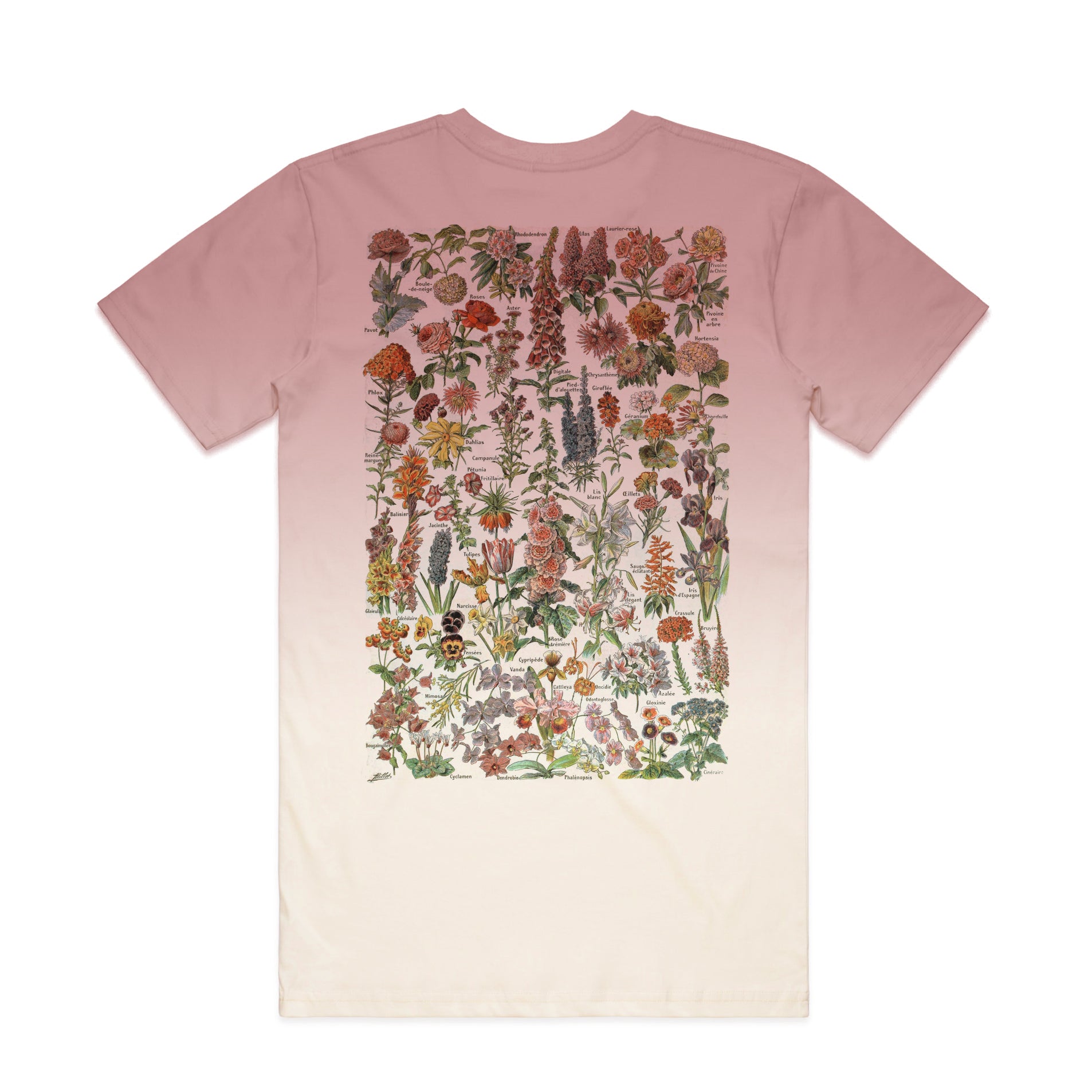 Fleur T-shirt / Back Print