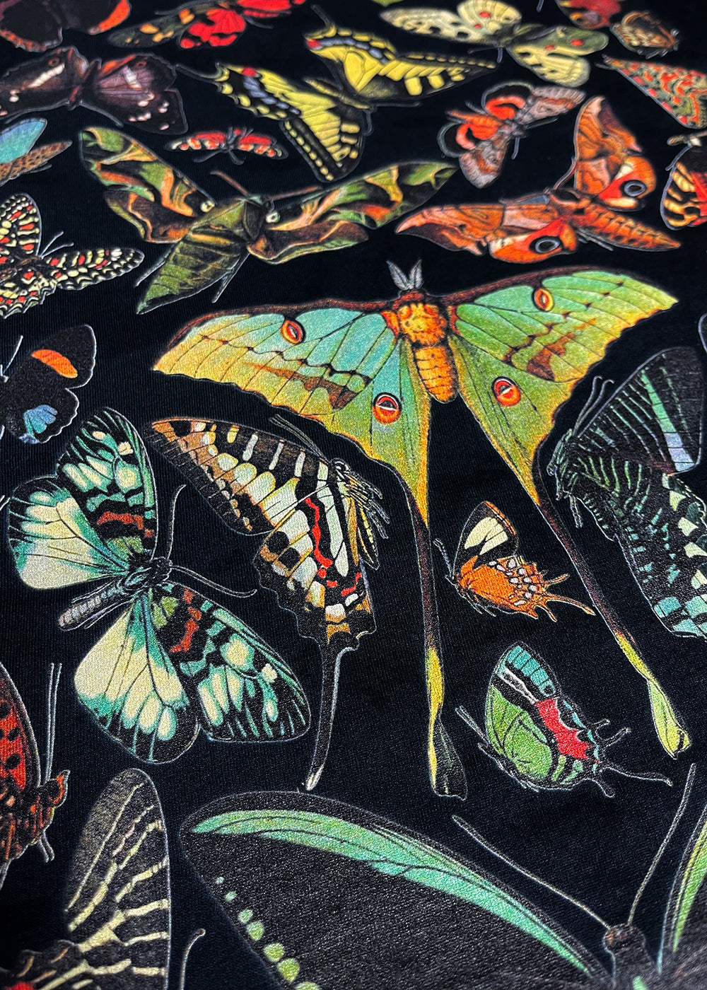 Papillons Hoodie / Back Print