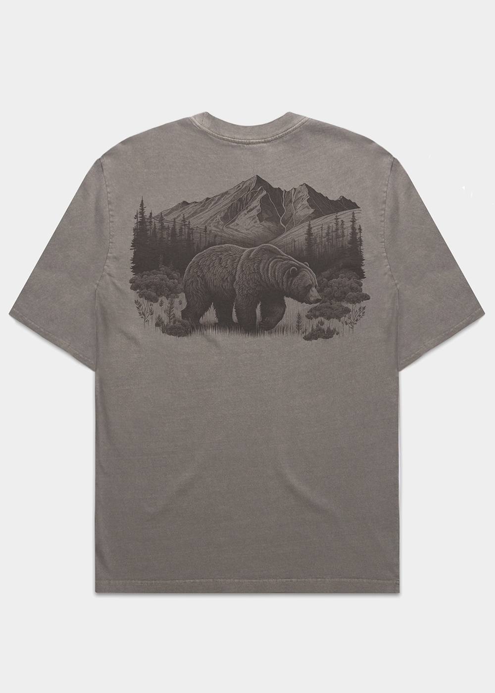 Bear Heavyweight T-shirt / Back Print