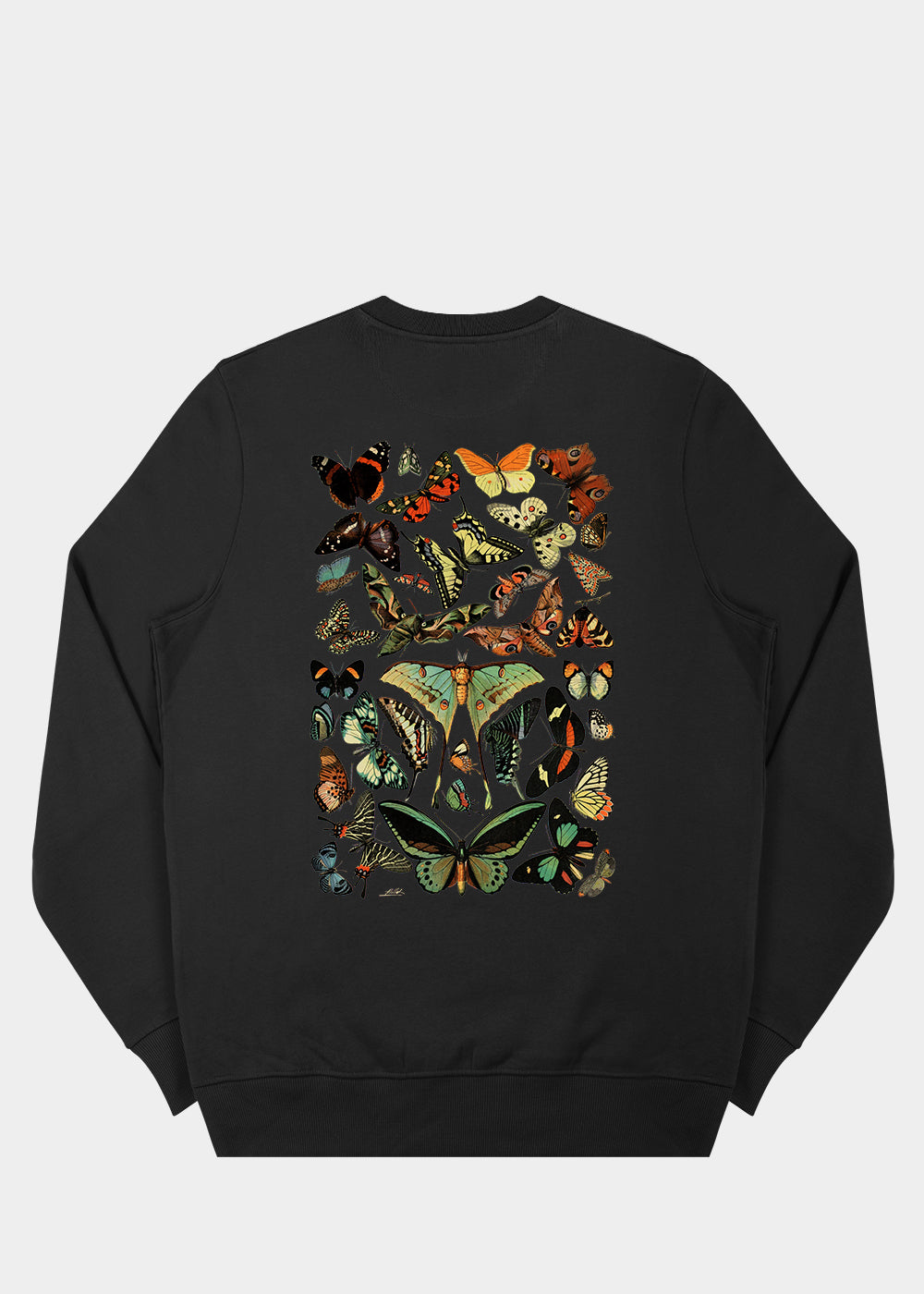 Papillons Sweatshirt / Back Print