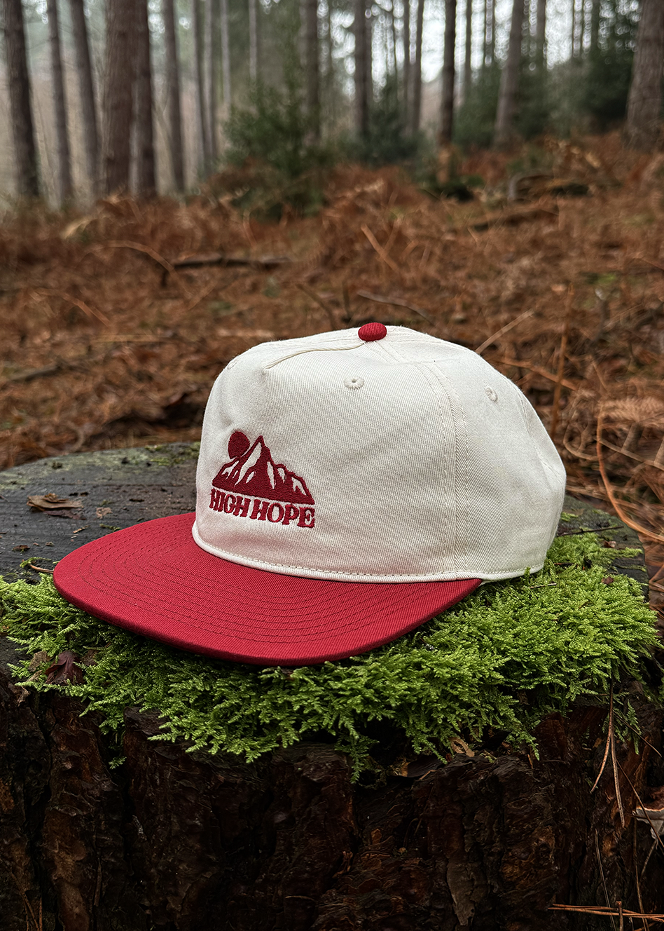 Logo Two-tone Cap