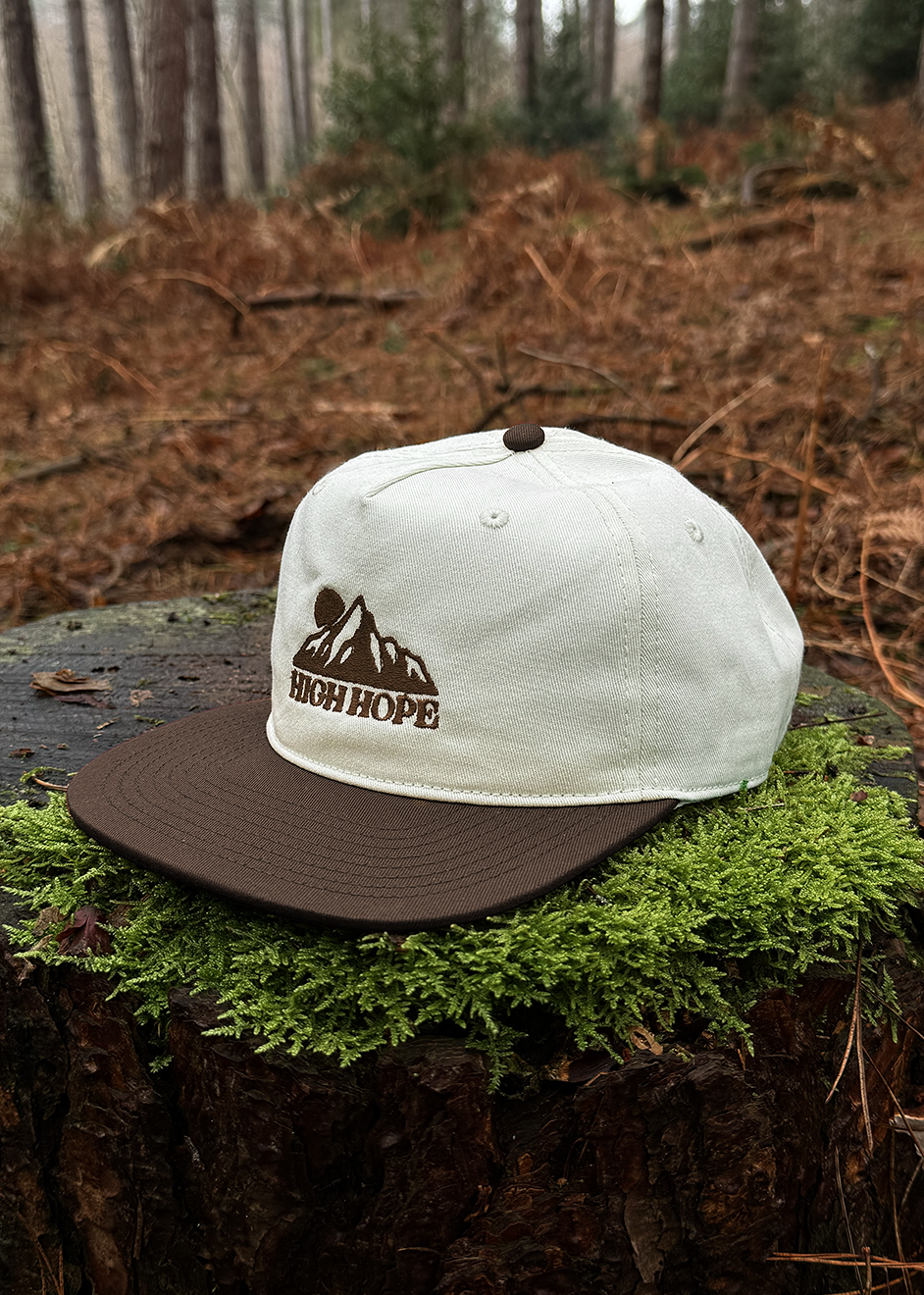 Logo Two-tone Cap